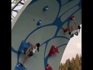 competitions on the climbing wall