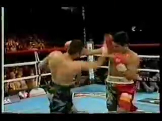 boxing knockouts